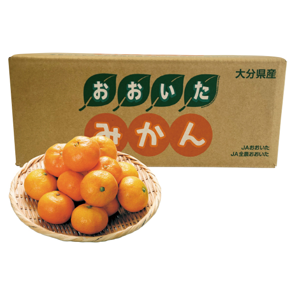 啪Y }`݂ (MM40)y͂ԁF12{`z